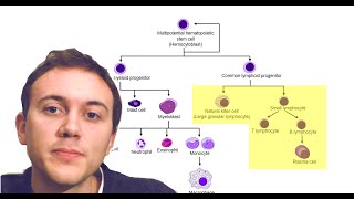 What is essential thrombocythemia  Hematologic System Diseases  NCLEXRN  Khan Academy [upl. by Celka]