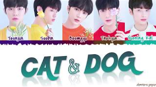 TXT  CAT amp DOG’ Lyrics Color CodedHanRomEng [upl. by Ssew]