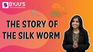 The Story of the Silk Worm  Class 610  Learn from BYJUS [upl. by Odama]