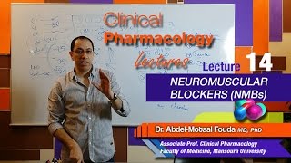 Autonomic Pharmacology Ar  Lec 14  Neuromuscular blockers NMBs [upl. by Fronnia]