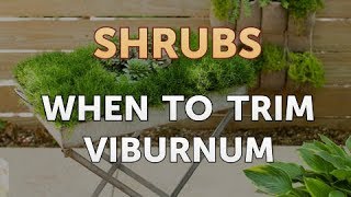 When to Trim Viburnum [upl. by Beore150]