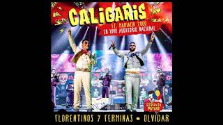 Los Caligaris  Florentinos y ferminas AUDIO [upl. by Necyrb]