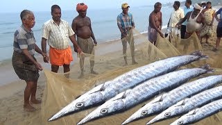 People Chanting amp Fishing  Amazing Fish Catching Process  Kovalam Beach Kerala India [upl. by Scuram164]