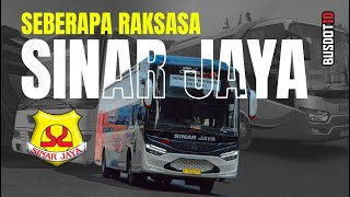 Mengenal Bus SINAR JAYA Si Raksasa Transportasi [upl. by Rianon482]