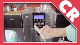 DeLonghi Gran Dama ESAM 6600  Crew Review [upl. by Notneiuq]