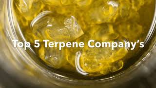 Top 5 Terpene Brands [upl. by Dedra529]