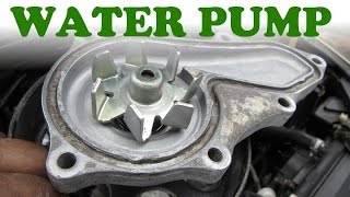 How to Replace a Honda Water Pump [upl. by Alac]