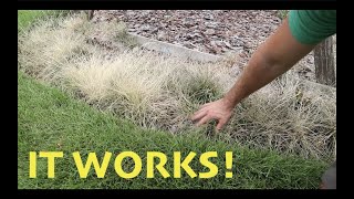 DIY Weed Killer that is SAFE and EFFECTIVE [upl. by Sielen]