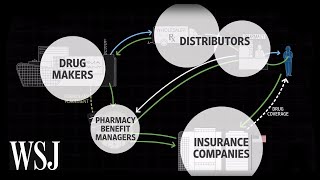 How Drug Prices Work  WSJ [upl. by Ludmilla755]