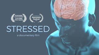 Stressed  A Documentary Film  4K OFFICIAL [upl. by Urbani344]