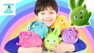 Learn Colors with the Sunny Bunnies Plush Toys [upl. by Lesoj]