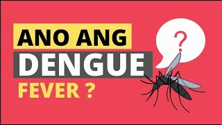 Ano ang Dengue Fever [upl. by Shuman]