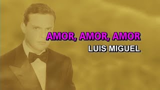 Luis Miguel  Amor amor amor Karaoke [upl. by Eahc]