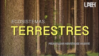 Ecosistemas Terrestres [upl. by Delainey725]