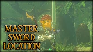 Fantastic Armor amp Where to Find it  Breath of the Wild [upl. by Just]