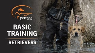 Basic Training  Retrievers [upl. by Yasdnyl]