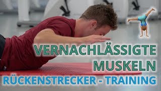 Rückenstrecker  Vernachlässigte Muskulatur  Training [upl. by Eelek]