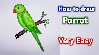 how to draw parrot easy step by stepGali Gali Art [upl. by Anilasor612]