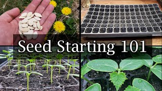 How To Start Vegetable Seeds  The Definitive Guide For Beginners [upl. by Sucitivel809]