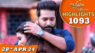 Anbe Vaa Serial  EP 1093 Highlights 28th April 24  Virat  Shree Gopika  Saregama TV Shows Tamil [upl. by Alexi350]