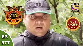 CID  सीआईडी  Ep 977 Jungle Mystery  Full Episode [upl. by Karolyn]