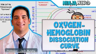 Respiratory  OxygenHemoglobin Dissociation Curve [upl. by Nierman]