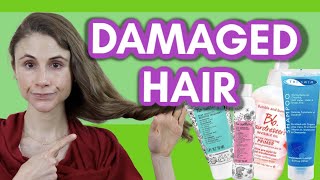 PRODUCTS amp ADVICE FOR DAMAGED HAIR DR DRAY [upl. by Kado]