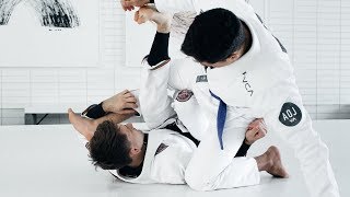 Rafael Mendes  Backtake Variation from Waiter Sweep  artofjiujitsucom [upl. by Hera804]