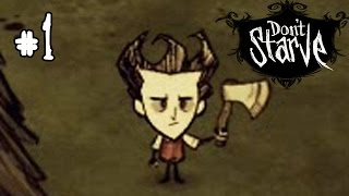 Dont Starve Прохождение 1  Начало выживания [upl. by Ednutabab77]