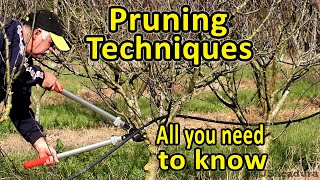 Pruning Fruit Trees  Pruning Techniques  Essential Pruning Course [upl. by Les]