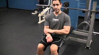 Seated Dumbbell Bicep Curls [upl. by Forester]