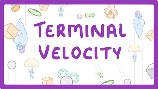 GCSE Physics  Terminal Velocity 55 [upl. by Arihday]