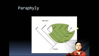 Homoplasy vs Apomorphy vs Plesiomorphy [upl. by Alleuqram602]