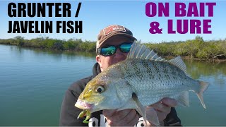 Grunter  Javelin Fish Bait and Lure Tips with Paul Chew [upl. by China689]