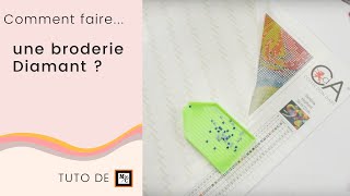 Comment faire une broderie Diamant Diamond painting 💎   Tuto La Maison du Canevas [upl. by Gniliem]