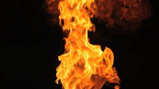 Slow Motion Fire Blaze From the Bottom Stock Video Footage [upl. by Iaria62]