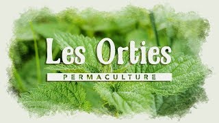 Lortie la fabuleuse plante des jardiniers [upl. by Nirmak]