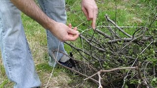 How to bundle branches with string [upl. by Sirref]