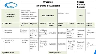 Programa de Auditoria  Guía completa [upl. by Rawley]