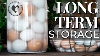 How to Water Glass Eggs For LongTerm Storage [upl. by Lowe]