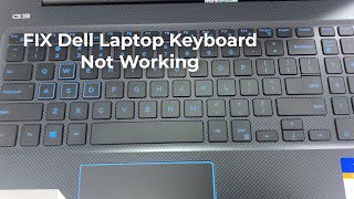 FIX DELL keyboard not working in Windows 1087 3 METHODS [upl. by Stefano]