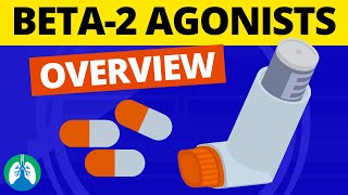 Beta2 Adrenergic Agonists Medications OVERVIEW  Bronchodilators [upl. by Noy]