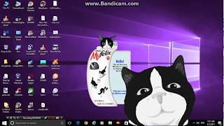 Meet Felix The desktop cat [upl. by Stephania]