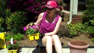 Using Pine Cones in Planters [upl. by Aicinad]