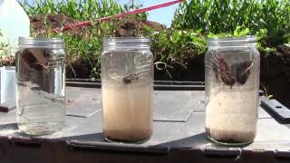 Soil Aggregation and Water Infiltration [upl. by Volnak]