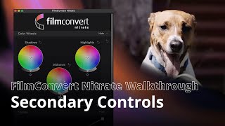 FilmConvert Nitrate Walkthrough  Secondary Controls [upl. by Reinhard]