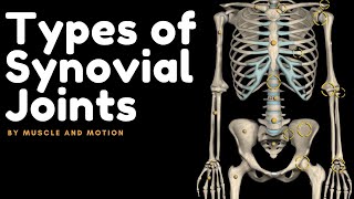 Types of Synovial Joints [upl. by Krissy]