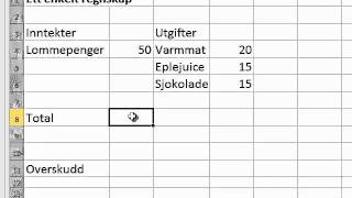 Enkelt regnskap på Excel [upl. by Rotkiv520]