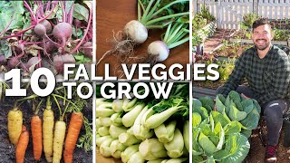 10 Veggies to Plant NOW for a Fall Harvest [upl. by Sheaff]