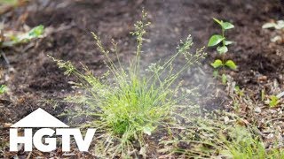 Way to Grow Which Natural Weed Killers Actually Work  HGTV [upl. by Lacefield]